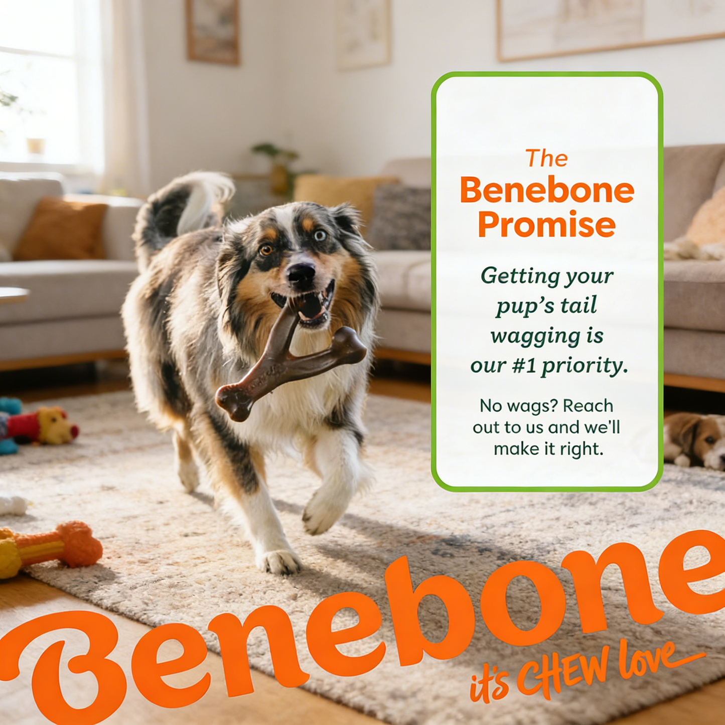 Durable Dog Chew Toy, Bacon Flavor, Made in USA