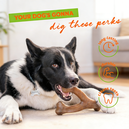 Durable Dog Chew Toy, Bacon Flavor, Made in USA