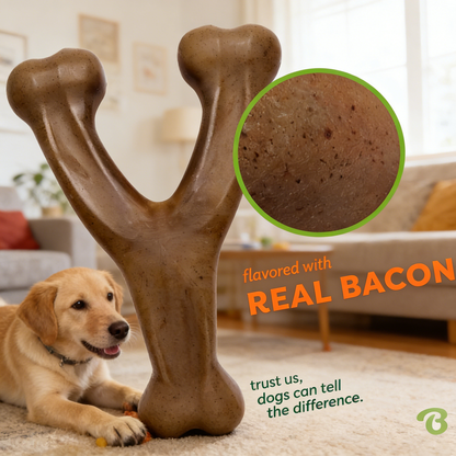 Durable Dog Chew Toy, Bacon Flavor, Made in USA