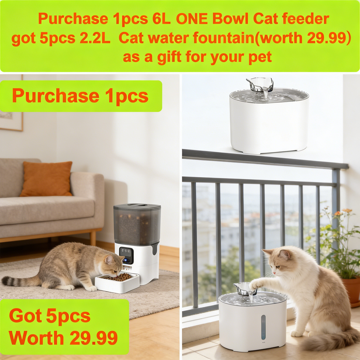 Camera Pet Feeder, 1080P Night Vision & 2-Way Audio, 6L & WiFi Control